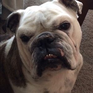 Meet your Posher, Ricky